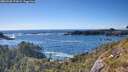 ./images/calvert/foggy-cove/20260530/foggy-cove20260530_173002M.jpg