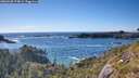./images/calvert/foggy-cove/20260530/foggy-cove20260530_174001M.jpg