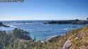 ./images/calvert/foggy-cove/20260530/foggy-cove20260530_175001M.jpg