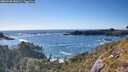./images/calvert/foggy-cove/20260530/foggy-cove20260530_181002M.jpg