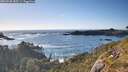 ./images/calvert/foggy-cove/20260530/foggy-cove20260530_185501M.jpg