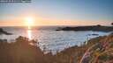 ./images/calvert/foggy-cove/20260530/foggy-cove20260530_211501M.jpg