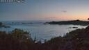 ./images/calvert/foggy-cove/20260531/foggy-cove20260531_044501M.jpg