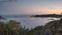 ./images/calvert/foggy-cove/20260531/foggy-cove20260531_045502M.jpg