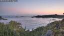 ./images/calvert/foggy-cove/20260531/foggy-cove20260531_050501M.jpg