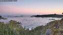 ./images/calvert/foggy-cove/20260531/foggy-cove20260531_051501M.jpg