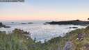 ./images/calvert/foggy-cove/20260531/foggy-cove20260531_053501M.jpg