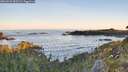 ./images/calvert/foggy-cove/20260531/foggy-cove20260531_055501M.jpg
