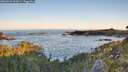 ./images/calvert/foggy-cove/20260531/foggy-cove20260531_061001M.jpg