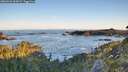 ./images/calvert/foggy-cove/20260531/foggy-cove20260531_062001M.jpg