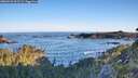 ./images/calvert/foggy-cove/20260531/foggy-cove20260531_063502M.jpg