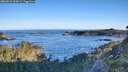 ./images/calvert/foggy-cove/20260531/foggy-cove20260531_064501M.jpg