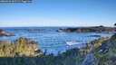 ./images/calvert/foggy-cove/20260531/foggy-cove20260531_065501M.jpg