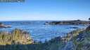 ./images/calvert/foggy-cove/20260531/foggy-cove20260531_071001M.jpg