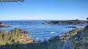 ./images/calvert/foggy-cove/20260531/foggy-cove20260531_071501M.jpg