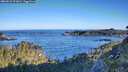 ./images/calvert/foggy-cove/20260531/foggy-cove20260531_072001M.jpg