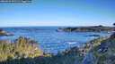 ./images/calvert/foggy-cove/20260531/foggy-cove20260531_072501M.jpg