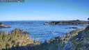 ./images/calvert/foggy-cove/20260531/foggy-cove20260531_073501M.jpg