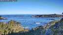 ./images/calvert/foggy-cove/20260531/foggy-cove20260531_074001M.jpg