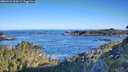 ./images/calvert/foggy-cove/20260531/foggy-cove20260531_074501M.jpg