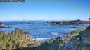 ./images/calvert/foggy-cove/20260531/foggy-cove20260531_075001M.jpg