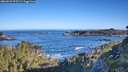 ./images/calvert/foggy-cove/20260531/foggy-cove20260531_075501M.jpg