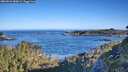 ./images/calvert/foggy-cove/20260531/foggy-cove20260531_080001M.jpg
