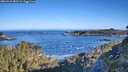 ./images/calvert/foggy-cove/20260531/foggy-cove20260531_080501M.jpg