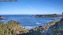 ./images/calvert/foggy-cove/20260531/foggy-cove20260531_081002M.jpg
