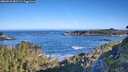 ./images/calvert/foggy-cove/20260531/foggy-cove20260531_081501M.jpg