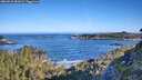 ./images/calvert/foggy-cove/20260531/foggy-cove20260531_082001M.jpg