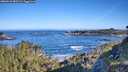 ./images/calvert/foggy-cove/20260531/foggy-cove20260531_083501M.jpg