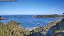 ./images/calvert/foggy-cove/20260531/foggy-cove20260531_084001M.jpg