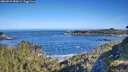 ./images/calvert/foggy-cove/20260531/foggy-cove20260531_085001M.jpg