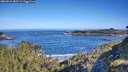 ./images/calvert/foggy-cove/20260531/foggy-cove20260531_085502M.jpg