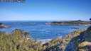 ./images/calvert/foggy-cove/20260531/foggy-cove20260531_090501M.jpg