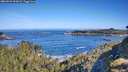 ./images/calvert/foggy-cove/20260531/foggy-cove20260531_091001M.jpg