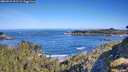 ./images/calvert/foggy-cove/20260531/foggy-cove20260531_091501M.jpg