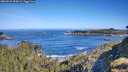 ./images/calvert/foggy-cove/20260531/foggy-cove20260531_092001M.jpg