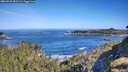 ./images/calvert/foggy-cove/20260531/foggy-cove20260531_092501M.jpg