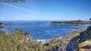 ./images/calvert/foggy-cove/20260531/foggy-cove20260531_093501M.jpg
