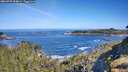 ./images/calvert/foggy-cove/20260531/foggy-cove20260531_094001M.jpg