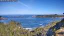 ./images/calvert/foggy-cove/20260531/foggy-cove20260531_094501M.jpg