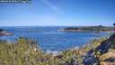 ./images/calvert/foggy-cove/20260531/foggy-cove20260531_095001M.jpg