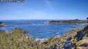 ./images/calvert/foggy-cove/20260531/foggy-cove20260531_095502M.jpg