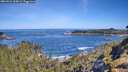 ./images/calvert/foggy-cove/20260531/foggy-cove20260531_100001M.jpg