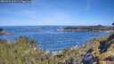 ./images/calvert/foggy-cove/20260531/foggy-cove20260531_100501M.jpg