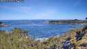 ./images/calvert/foggy-cove/20260531/foggy-cove20260531_101001M.jpg