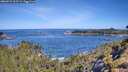 ./images/calvert/foggy-cove/20260531/foggy-cove20260531_101501M.jpg