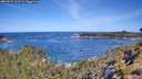 ./images/calvert/foggy-cove/20260531/foggy-cove20260531_103501M.jpg